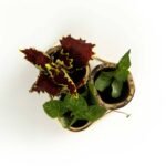 Bamboo Flower Vase (3vase) - Image 4