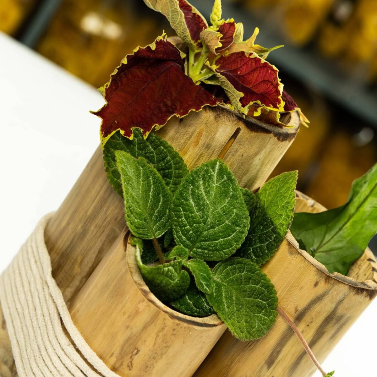 Bamboo Flower Vase (3vase) - Image 3