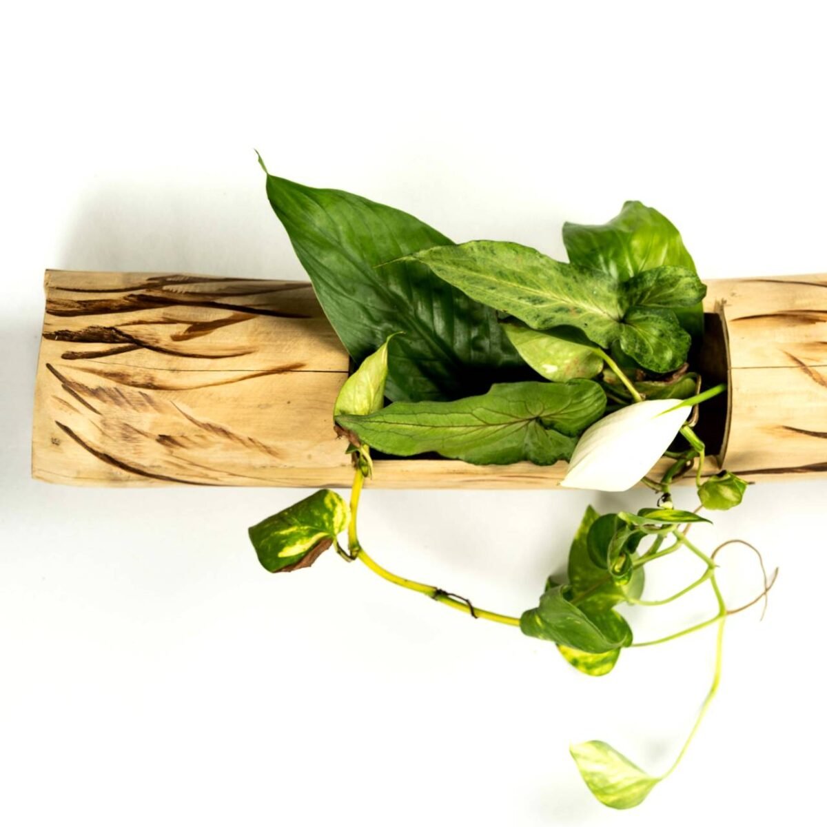 Bamboo Vertical Flower vase - Image 4