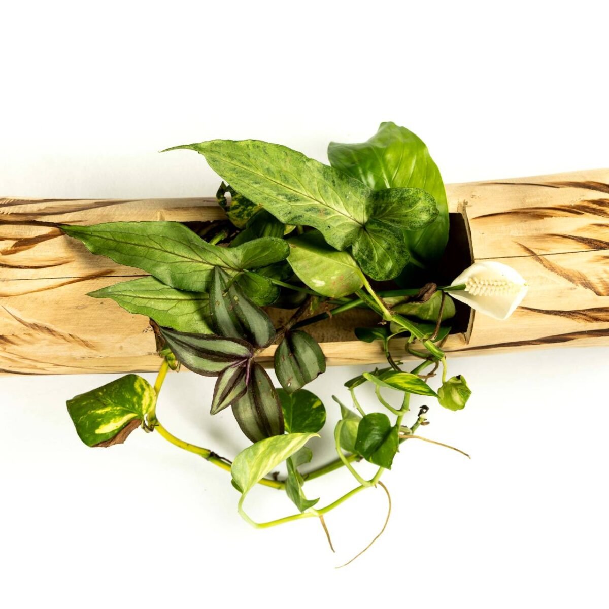 Bamboo Vertical Flower vase - Image 2