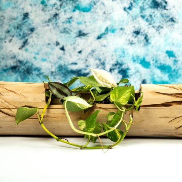 Bamboo Vertical Flower vase