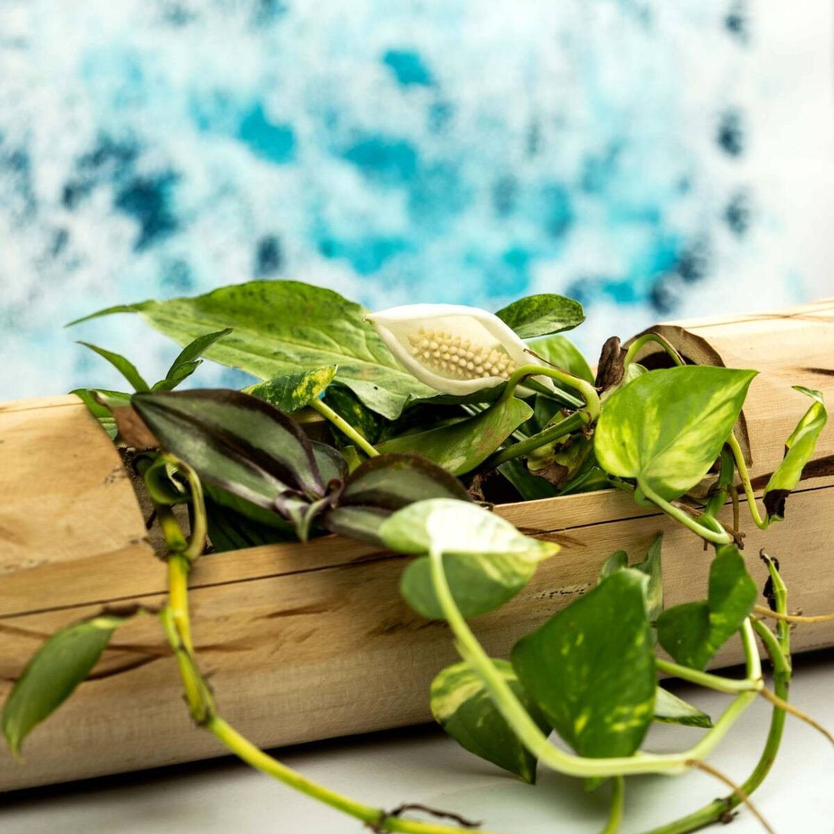 Bamboo Vertical Flower vase - Image 3