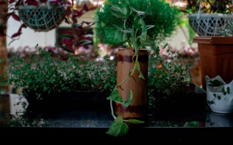 WhatsApp Image 2021-05-12 at 5.25.20 PM (1)