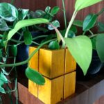 Wooden Cube Flower vase