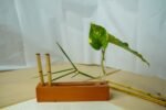 TimberDesk Organizer - Image 3