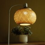 Oval Bamboo light